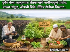 organic farming