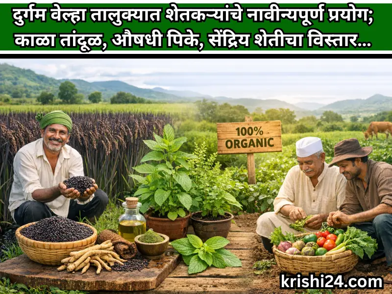 organic farming