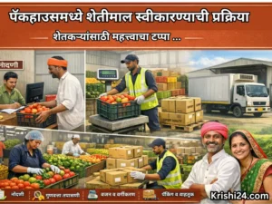 Agricultural packhouse