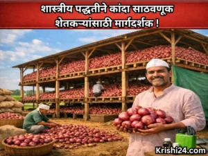 Scientific onion storage