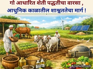 cow-based farming