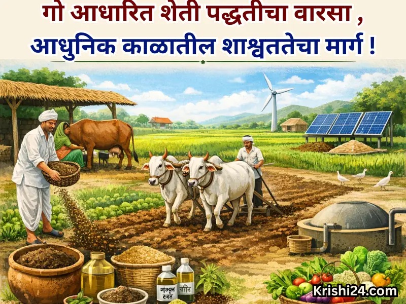 cow-based farming