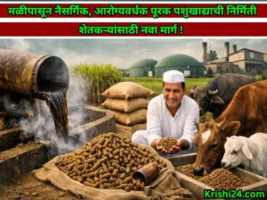 Animal feed