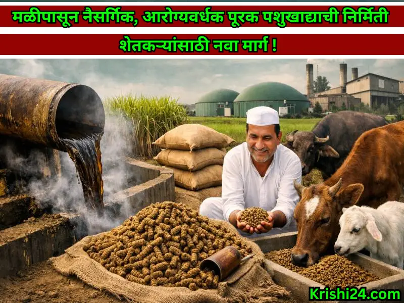Animal feed