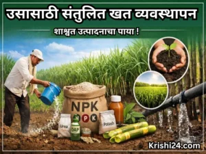 Balanced fertilizer