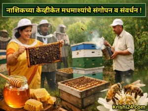 Bee rearing
