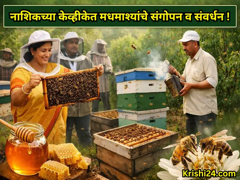 Bee rearing