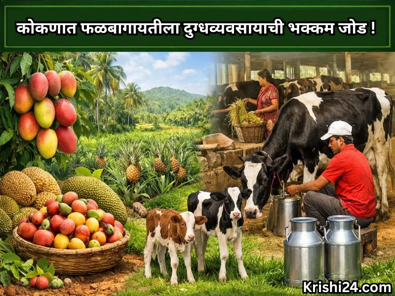 Dairy farming