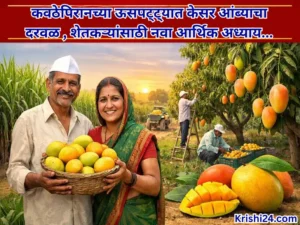 Economic chapter