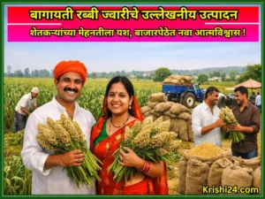 Horticultural rabi jowar