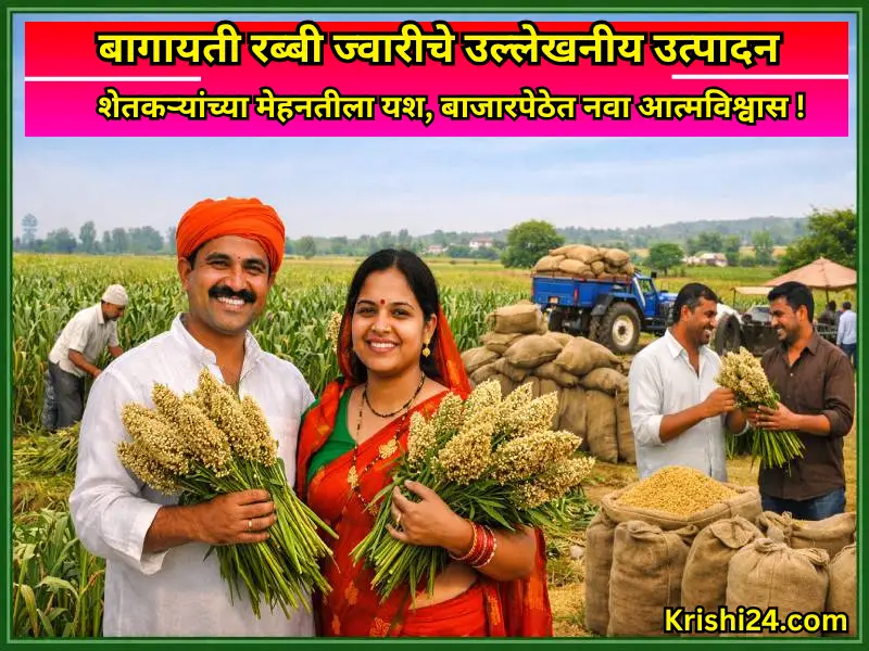 Horticultural rabi jowar