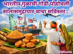 Indian jaggery