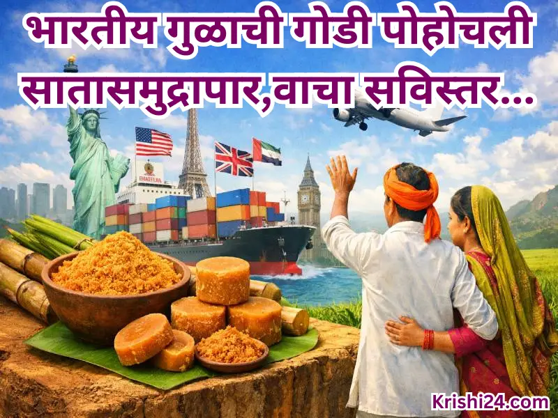 Indian jaggery