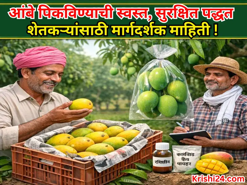 Information for farmers (1)