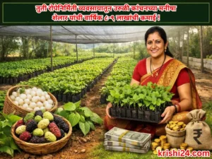 Mulberry plantation business