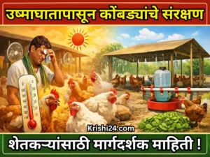 Protecting chickens