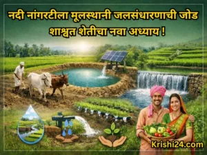 River irrigation