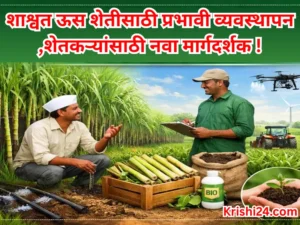 Sugarcane farming