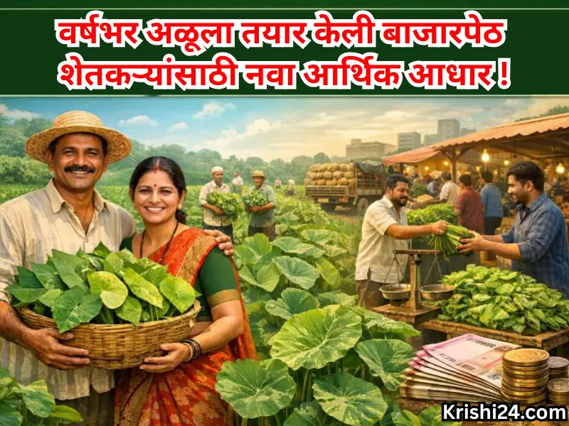 financial support for farmers