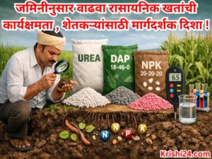 Chemical fertilizers