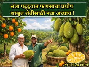Jackfruit experiment