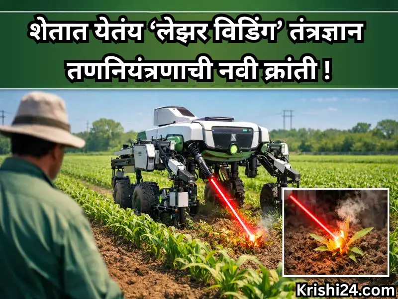 Laser weeding