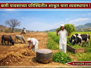 Low Rainfall Conditions