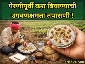 Seed sowing