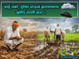 Sow kharif