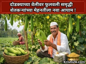 Work of farmers (1)