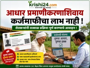 Aadhaar authentication