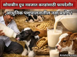 Animal husbandry