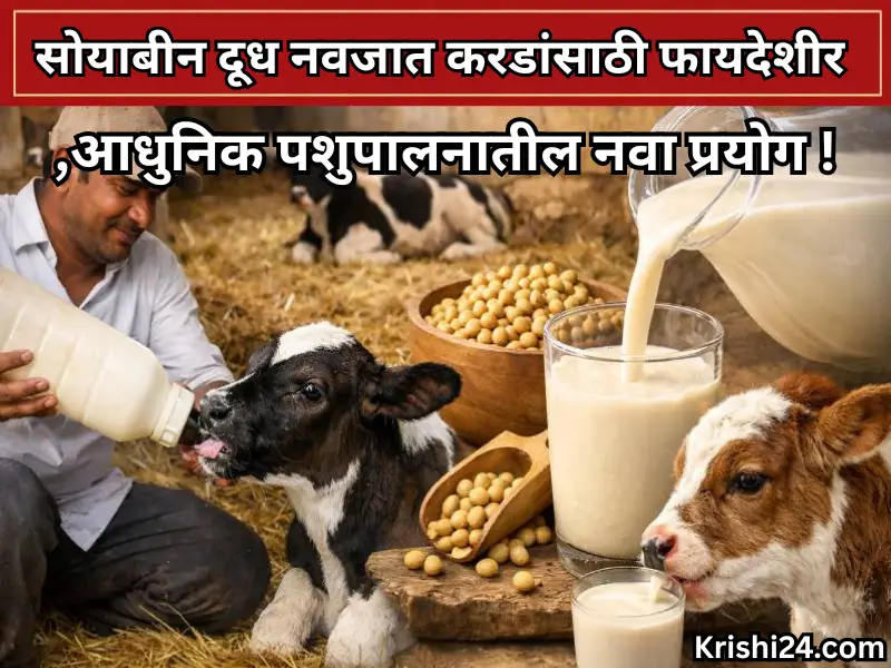 Animal husbandry