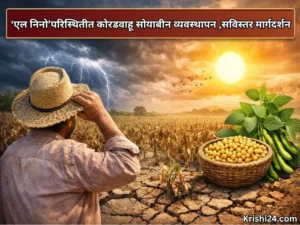 Fed soybean
