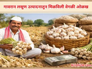 Indigenous garlic