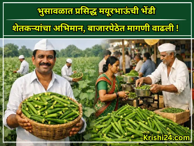 Mayurbhau’s famous
