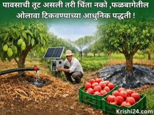 Moisture in orchards