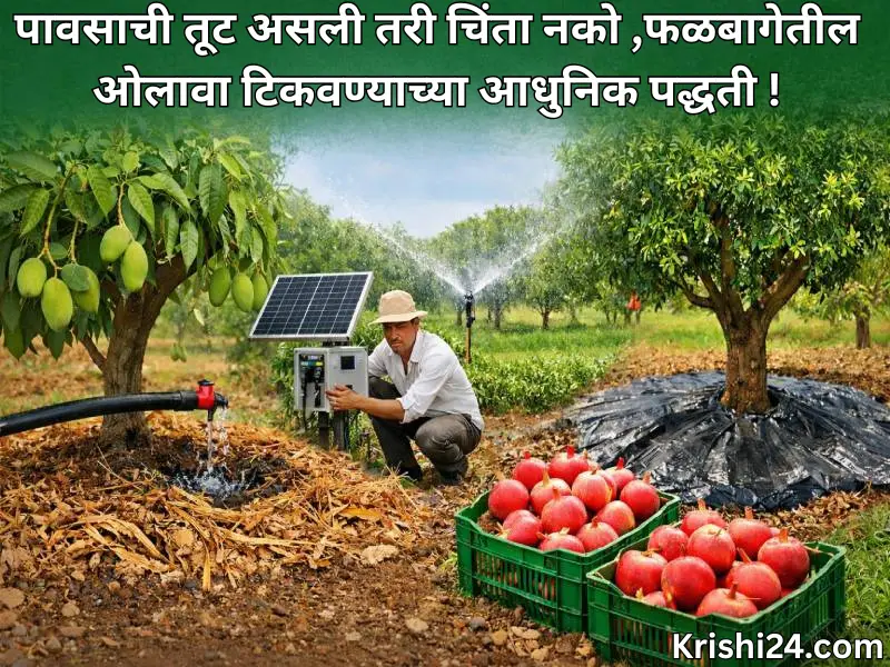 Moisture in orchards