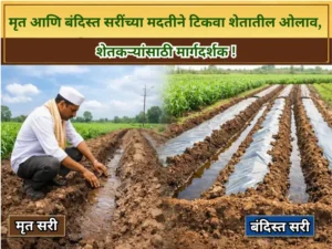 Retain soil moisture