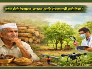 Sandalwood Farming