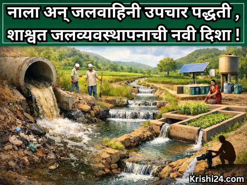 Water Management