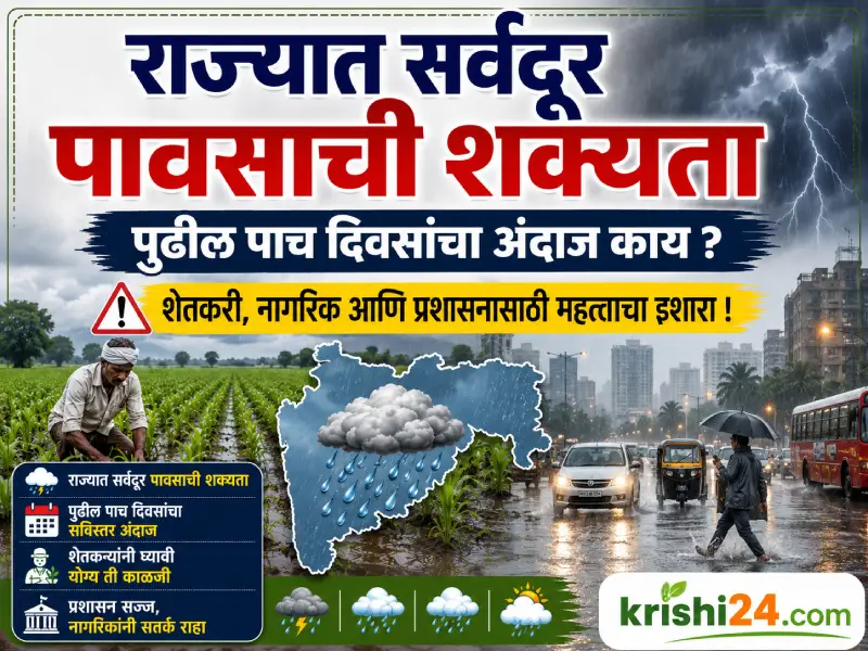 Widespread rainfall