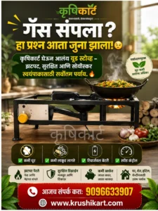 Wood stove WM