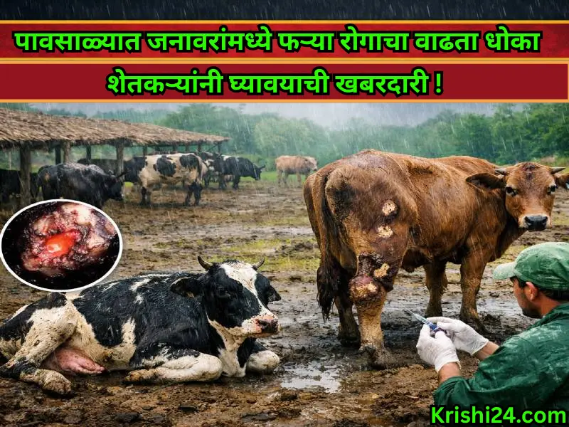 precautions for farmers