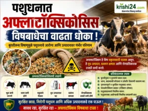 Aflatoxicosis poisoning