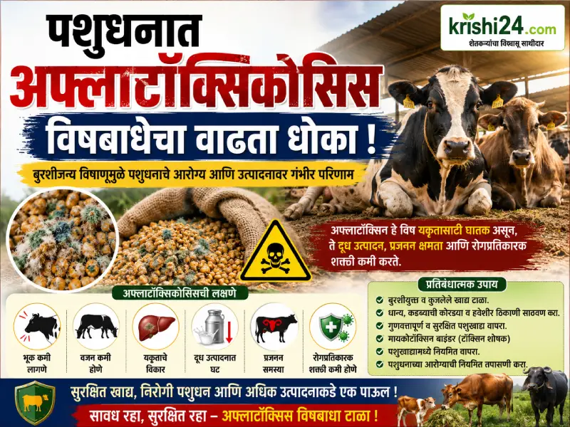 Aflatoxicosis poisoning