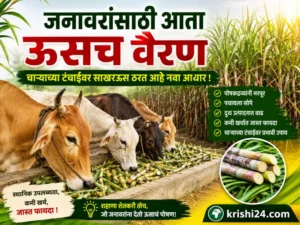 Animal feed