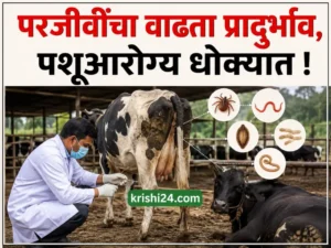 Animal health
