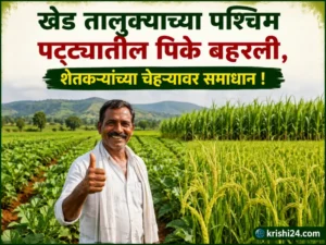 Crops flourishing