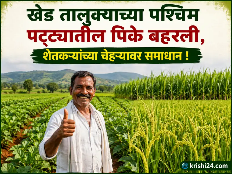 Crops flourishing